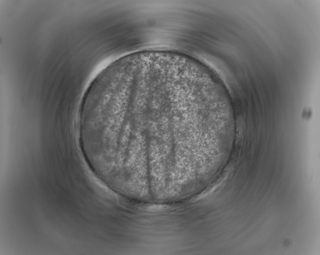 X0000096171467200802081400