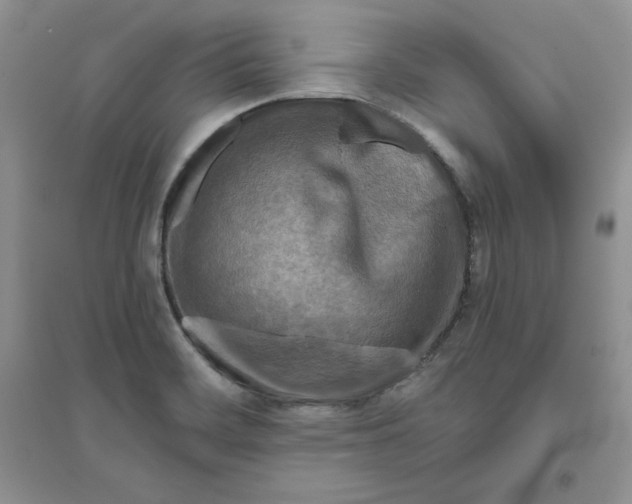 X0000096171468200802081400