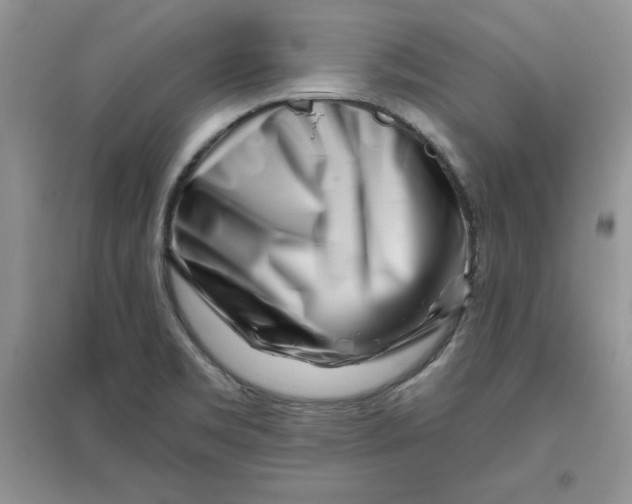 X0000096171469200802081400