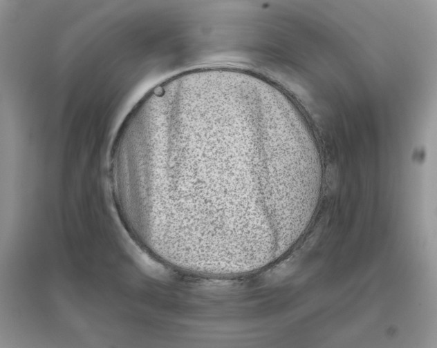 X0000096171470200802081400