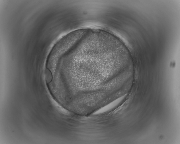 X0000096171471200802081400