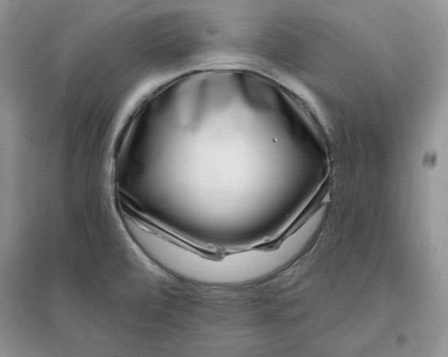 X0000096171472200802081400