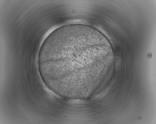 X0000096171474200802081400