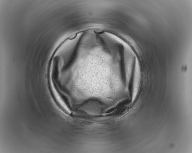 X0000096171475200802081400