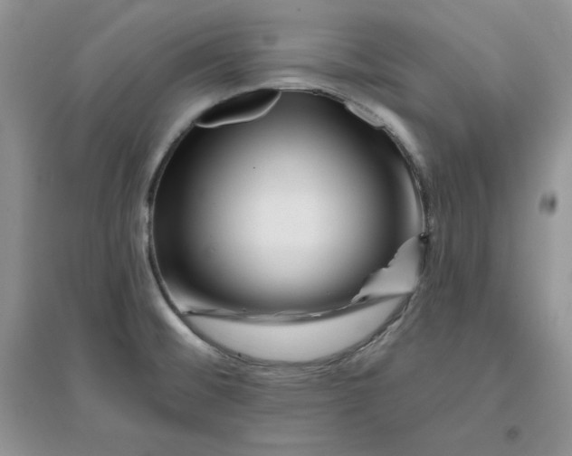 X0000096171476200802081400