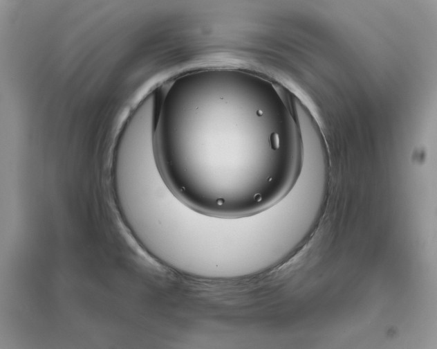 X0000096171477200802081400