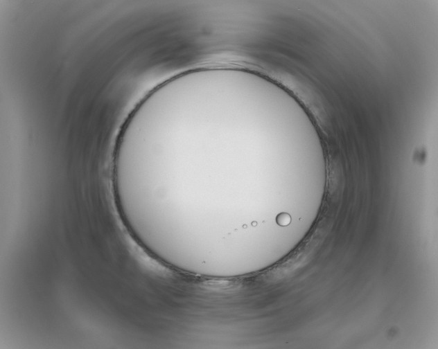 X0000096171478200802081400