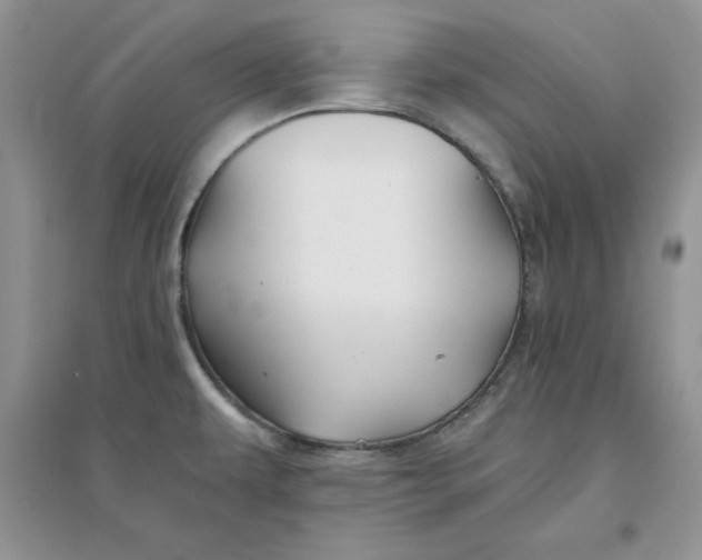 X0000096171479200802081400