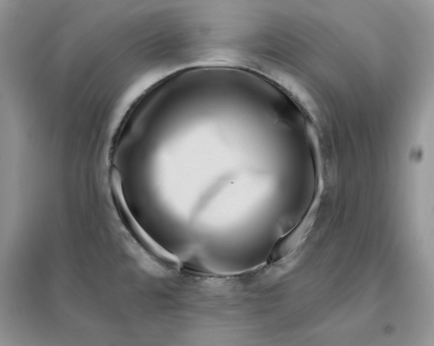 X0000096171480200802081400