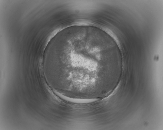 X0000096171481200802081400