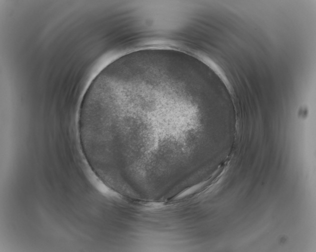 X0000096171482200802081400