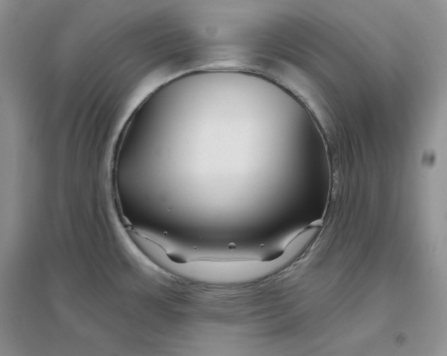 X0000096171483200802081400