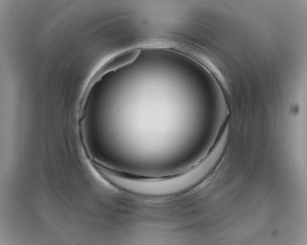 X0000096171484200802081400