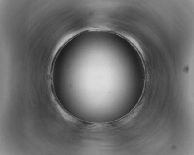 X0000096171485200802081400