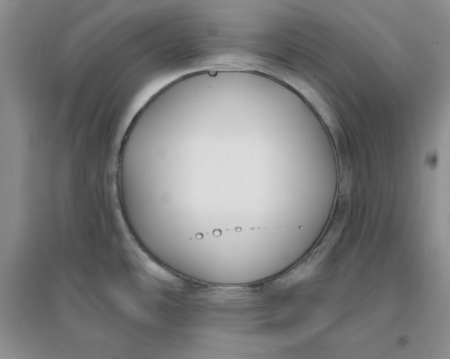 X0000096171486200802081400