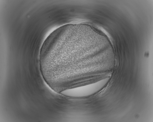 X0000096171487200802081400