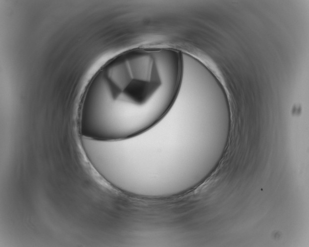 X0000096171488200802081400