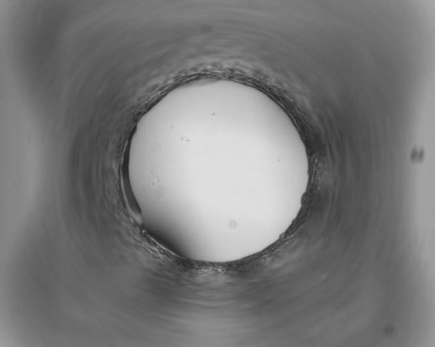 X0000096171489200802081359