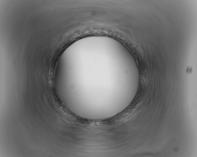 X0000096171490200802081359