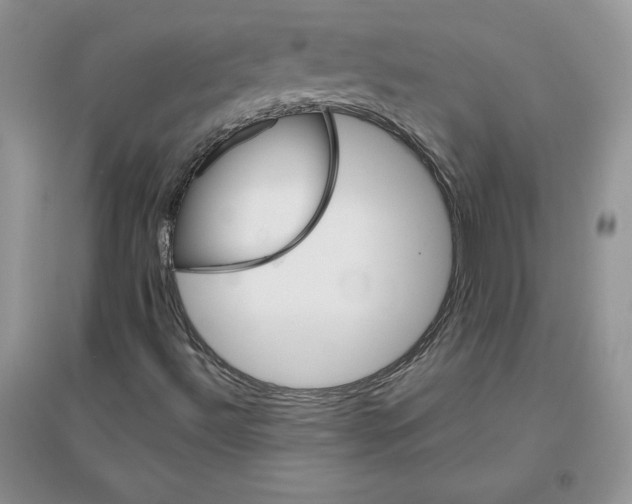 X0000096171492200802081359