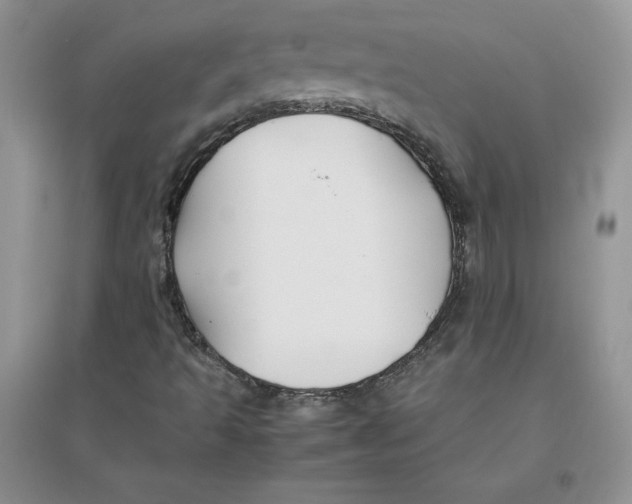 X0000096171493200802081359