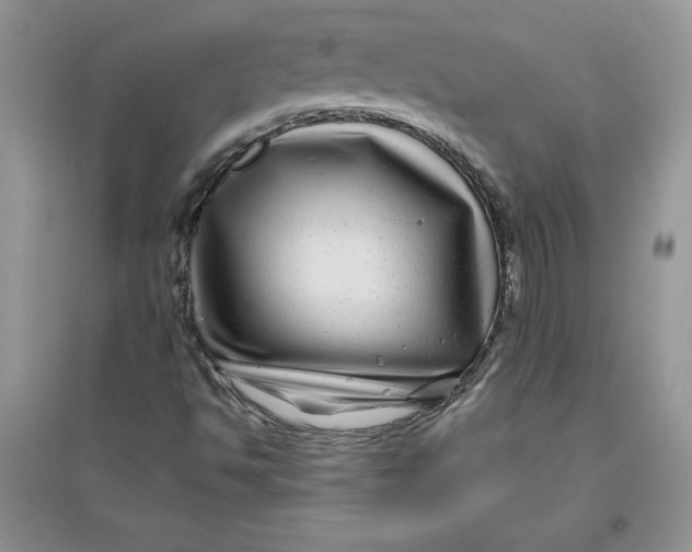 X0000096171494200802081359