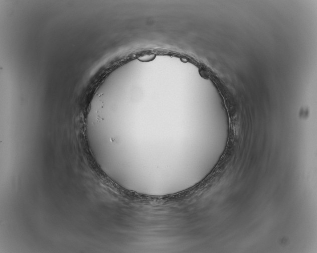 X0000096171495200802081359