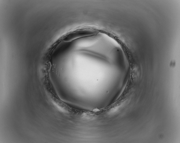 X0000096171496200802081359