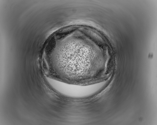 X0000096171497200802081359