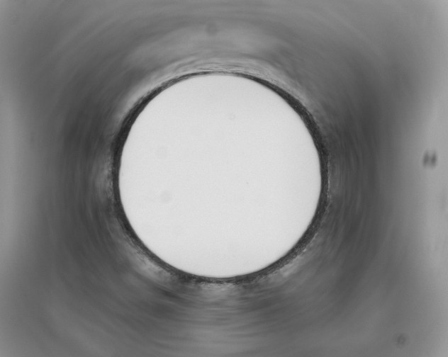 X0000096171498200802081359