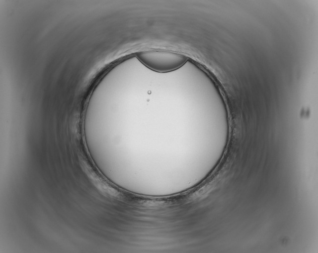 X0000096171499200802081359