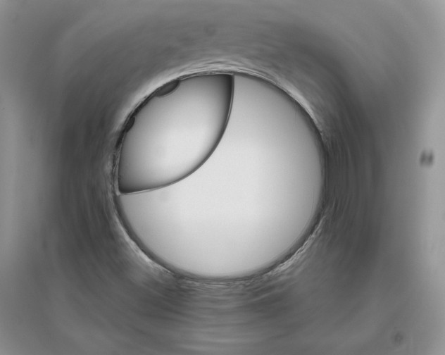 X0000096171500200802081359