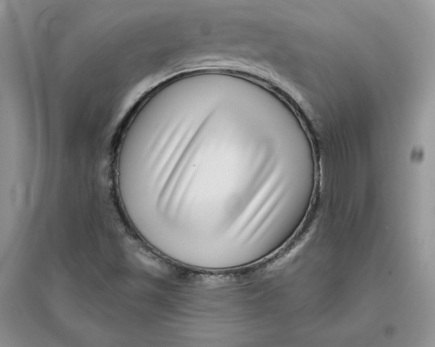 X0000096171501200802081359