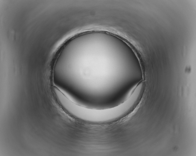 X0000096171502200802081359