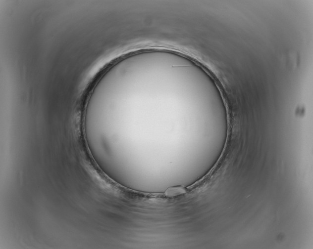 X0000096171503200802081359