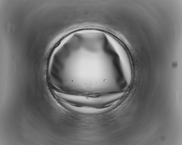 X0000096171504200802081359