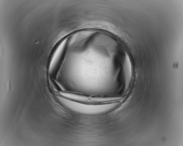 X0000096171505200802081359