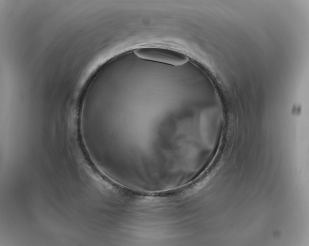 X0000096171506200802081359