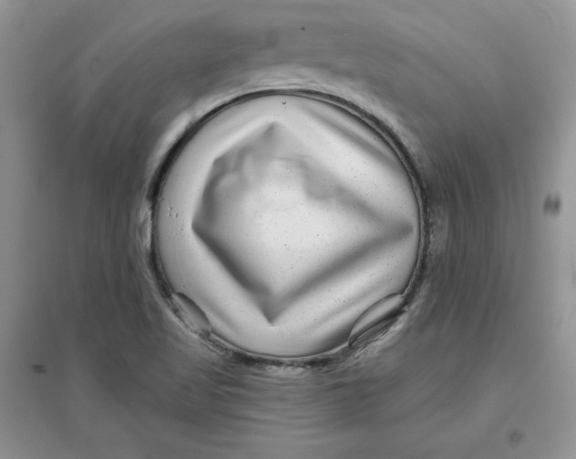 X0000096171509200802081359