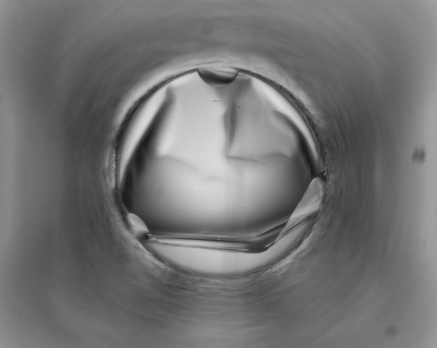 X0000096171510200802081359