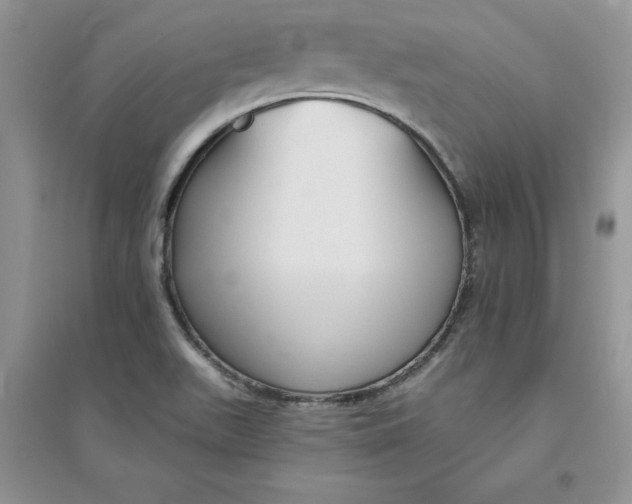 X0000096171511200802081359