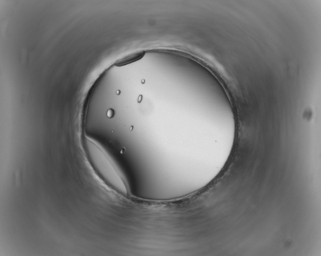 X0000096171512200802081359