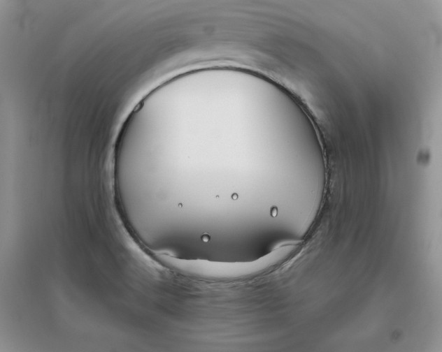 X0000096171516200802081359