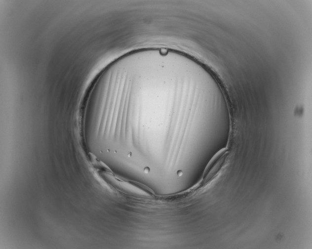 X0000096171517200802081359