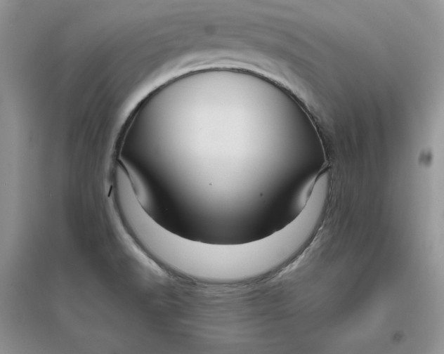 X0000096171518200802081359