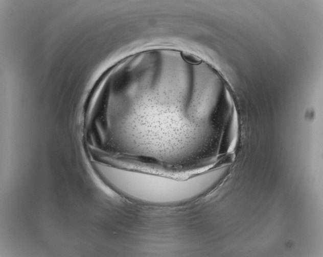 X0000096171519200802081359