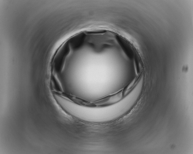 X0000096171520200802081359