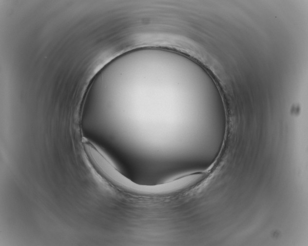 X0000096171521200802081359