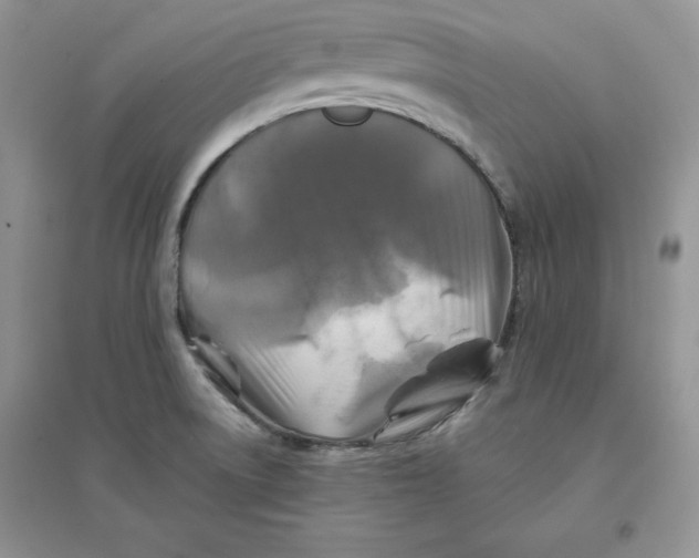 X0000096171522200802081359