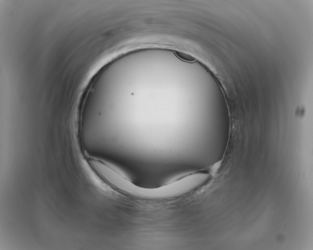 X0000096171523200802081359